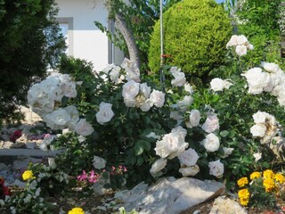 Apartment Banjol Features 17