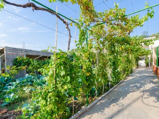 Apartment Lopar Features 28