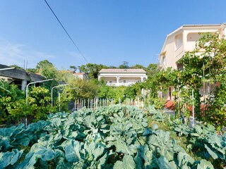 Apartment Lopar Outdoor Recording 4