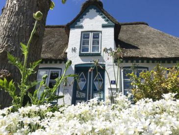 Ferienhaus Reetkate Oldersbek