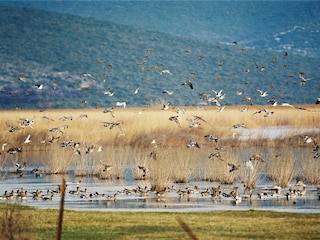 Ferienhaus Pirovac Ausstattung 7