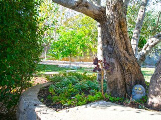 Holiday house Mrljane Features 16