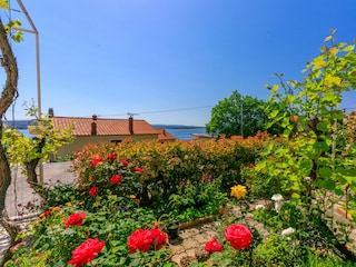 Apartment Crikvenica Features 16