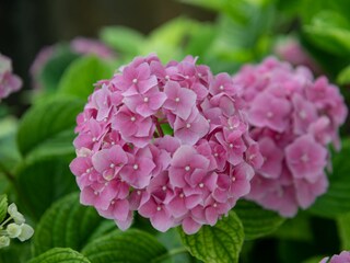 Apartment Opatija Ausstattung 58