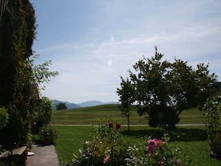 Blick in die Allgäuer Berge