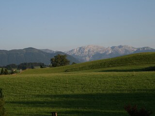 Blick aus dem Fenster