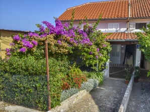 Ferienhaus Kein Titel - Iž - image1