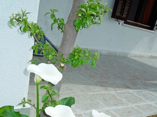 Apartment Rabac Ausstattung 19