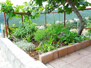 Apartment Rabac Outdoor Recording 1