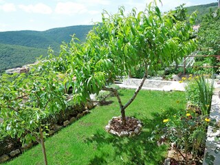 Apartment Rabac Features 25