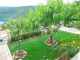 Apartment Rabac Features 6