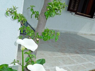 Apartment Rabac Features 11