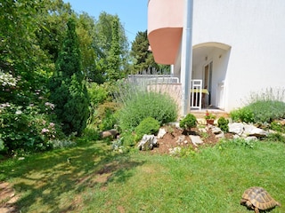 Apartment Novi Vinodolski Outdoor Recording 3