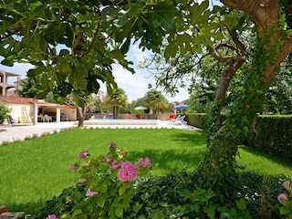 Apartment Vodice Features 4