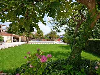 Apartment Vodice Features 14