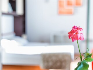Apartment Srima Features 10
