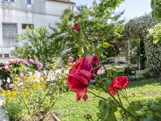 Apartment Srima Features 21