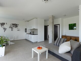 Apartment Linardići Features 8