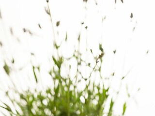 Apartment Novigrad (Istrien) Features 2