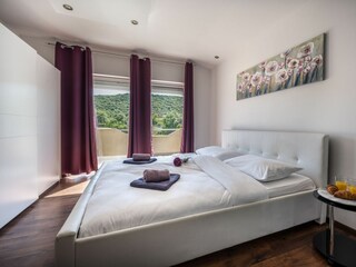 Holiday house Stankovci Features 40