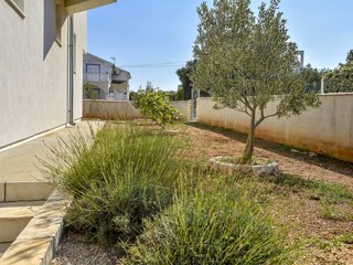 Apartment Razanj Outdoor Recording 4
