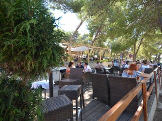 Apartment Murter (Stadt) Ausstattung 15