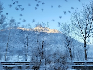 Wintertraum vor der Tür