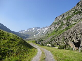 Appartement Schlitters Omgeving 35