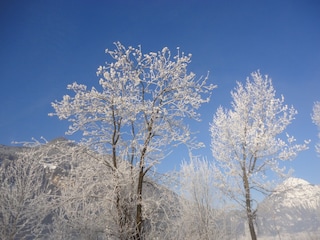 Winter - vor der Tür