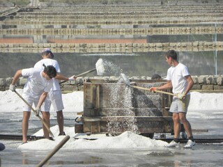 Apartment Ston Umgebung 39