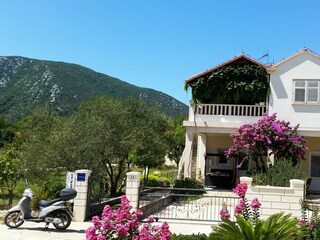 Apartment Ston Außenaufnahme 5