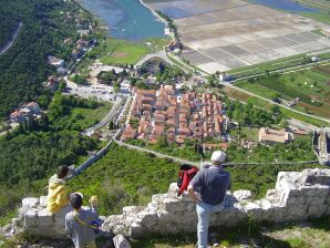Apartment Damir - Ston - image1