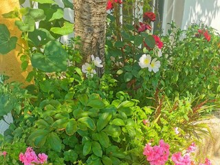 Apartment Povljana Ausstattung 11