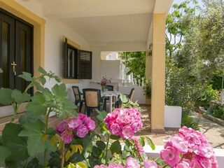 Apartment Povljana Features 7