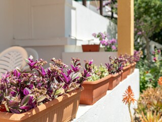 Apartment Povljana Ausstattung 14