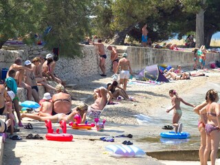 Apartment Bibinje Umgebung 12