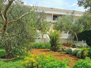 Apartment Povljana Features 11