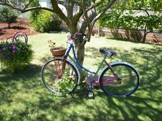 Apartment Bibinje Features 7