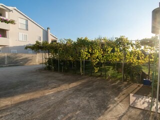 Apartment Bibinje Features 11