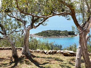 Holiday house Tkon Features 7
