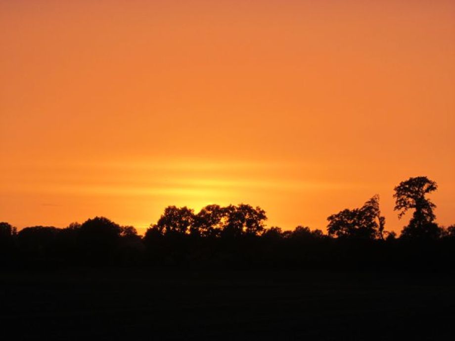 sonnenuntergang in unserem garten