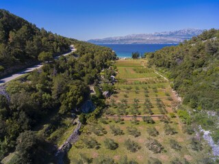 Holiday house Postira Environment 19