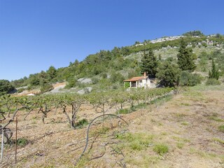 Ferienhaus Postira Außenaufnahme 2