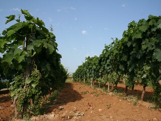 Ferienhaus Postira Ausstattung 9
