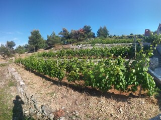 Holiday house Postira Features 20