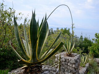 Holiday house Podgora Features 11