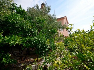 Holiday house Podgora Outdoor Recording 2