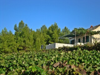 Ferienhaus Postira Ausstattung 7