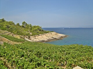 Ferienhaus Postira Ausstattung 16