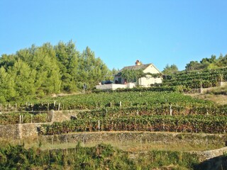 Ferienhaus Postira Ausstattung 24